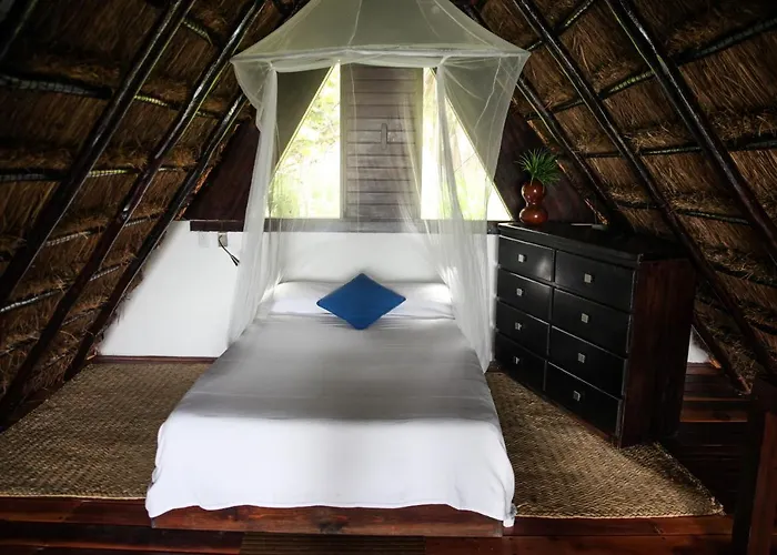 Playa Selva Lodge *