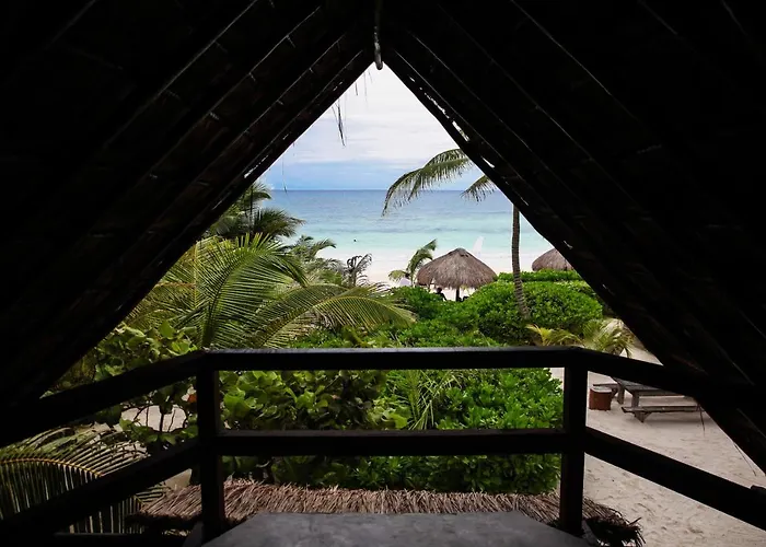 Playa Selva Lodge *