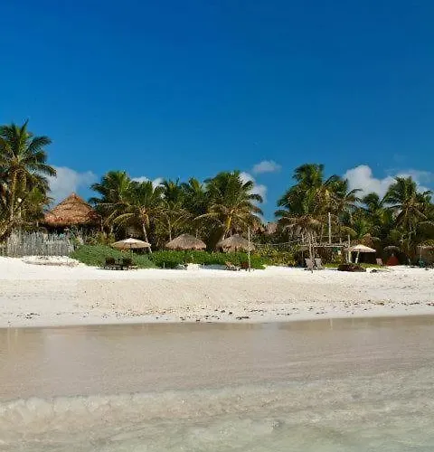 Lodge Playa Selva *