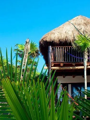 Lodge Playa Selva